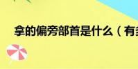 拿的偏旁部首是什么(有多少人不知道)