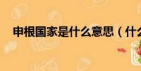 申根國家是什么意思(什么 是申根國家)