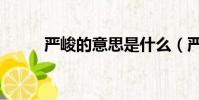 嚴峻的意思是什么(嚴峻的解釋)