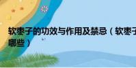 軟棗子的功效與作用及禁忌(軟棗子的功效與作用及禁忌有哪些)