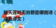 接天蓮葉無窮碧是哪首詩(接天蓮葉無窮碧全詩及譯文)