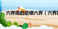 六界指的是哪六界(六界指的是何六界)