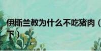 伊斯蘭教為什么不吃豬肉(原因給大家介紹一下)