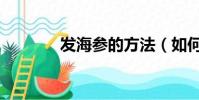 發海參的方法(如何發海參)