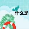 什么是貝雷梁（貝雷梁的解釋）