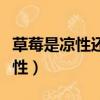 草莓是涼性還是熱性（草莓是屬于涼性還是熱性）