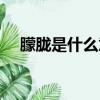 朦朧是什么意思（詞語朦朧是什么意思）