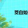 茭白如何做好吃（茭白的做法）
