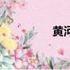 黃河多長（黃河多少米）