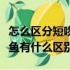 怎么區分短吻鱷和其他鱷魚（短吻鱷和其他鱷魚有什么區別）