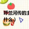呼蘭河傳的主要內容（呼蘭河傳的主要內容是什么）