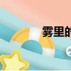 霧里的歌詞（霧里歌曲簡介）
