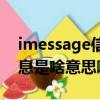 imessage信息是什么意思啊（imessage信息是啥意思啊）