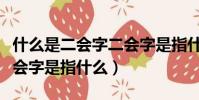 什么是二會字二會字是指什么(啥是二會字二會字是指什么)