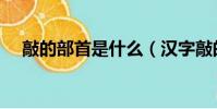 敲的部首是什么(漢字敲的部首是什么)