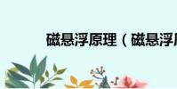 磁懸浮原理(磁懸浮原理介紹)