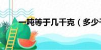 一噸等于幾千克(多少千克是一噸)