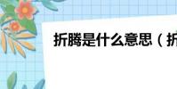 折騰是什么意思(折騰解釋)