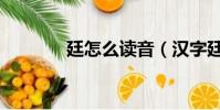 廷怎么讀音(漢字廷的讀音)