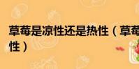 草莓是涼性還是熱性(草莓是屬于涼性還是熱性)