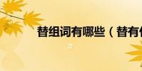 替組詞有哪些(替有什么組詞)
