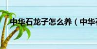 中華石龍子怎么養(中華石龍子如何養)