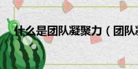 什么是團隊凝聚力(團隊凝聚力的定義)