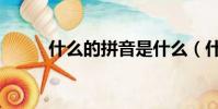 什么的拼音是什么(什么怎么讀)