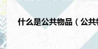 什么是公共物品(公共物品的介紹)