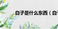 白子是什么東西(白子是何物)