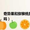 奇異果和獼猴桃是同一種水果嗎（奇異果和獼猴桃是一樣的嗎）