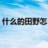 什么的田野怎么填空（什么的田野填空造句）