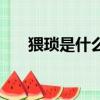 猥瑣是什么意思（猥瑣的意思是什么）