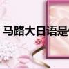 馬路大日語是什么意思（馬路大日語的意思）