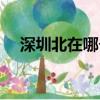 深圳北在哪個區（關于深圳北站的介紹）
