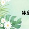 冰皇是誰（冰皇的簡介）