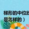 梯形的中位線定理是什么（梯形的中位線定理是怎樣的）