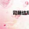 司藤結局是什么（關于司藤結局）