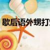 歇后語外甥打燈籠（歇后語外甥打燈籠解釋）