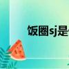 飯圈sj是什么意思（飯圈sj的意思）