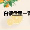 白銀盤里一青螺的意思是什么（出自何處）