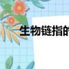 生物鏈指的是什么（怎么理解生物鏈）