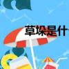 草垛是什么意思（草垛意思是什么）