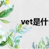 vet是什么意思中文（vet的意思）