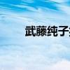 武藤純子扮演者（它的結局是什么）