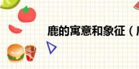 鹿的寓意和象征(鹿介紹)