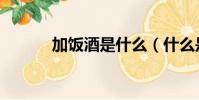 加飯酒是什么(什么是加飯酒)