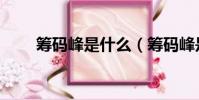 籌碼峰是什么(籌碼峰是什么意思)