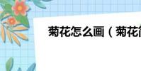 菊花怎么畫(菊花簡筆畫)
