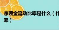 凈現金流動比率是什么(什么是凈現金流動比率)